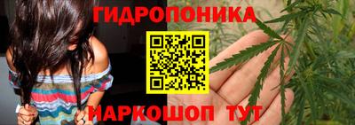 мяу мяу мука Лесосибирск