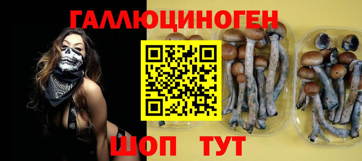 Армавир  Псилоцибиновые грибы ЛСД  Вход с VPN 